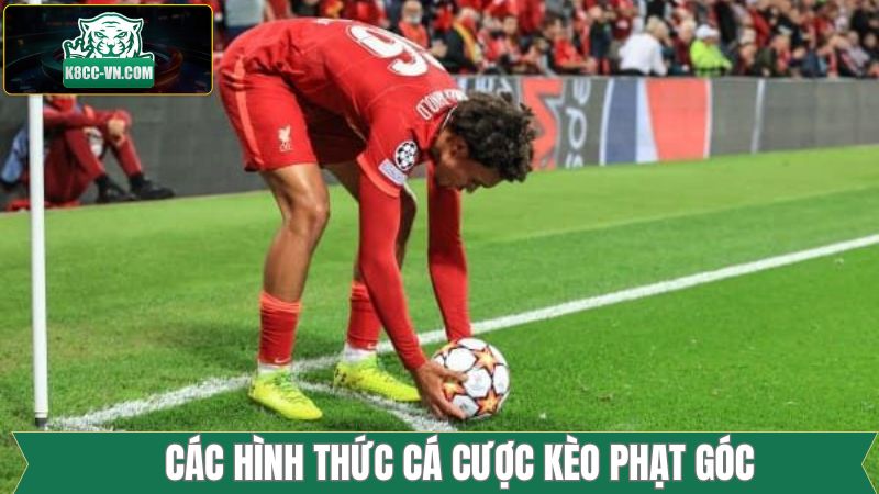Kèo Phạt Góc - Lựa Chọn Phổ Biến Trong Cá Độ Bóng Đá 3 Kèo Tài Xỉu Corner phổ biến tại K8cc