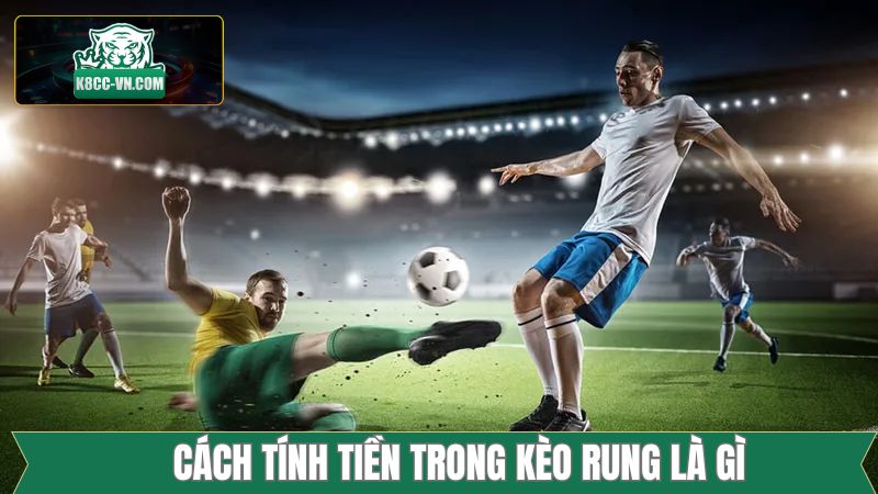 Kèo Rung Là Gì? Thông Tin Cần Biết Khi Cá Độ Tại K8cc 4 Cách tính tiền thắng khi cá cược Running